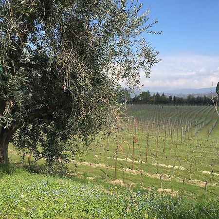 Tenuta La Ca Bardolino Exteriör bild