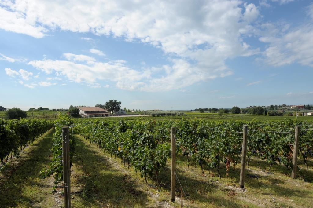 Tenuta La Ca Bardolino Exteriör bild